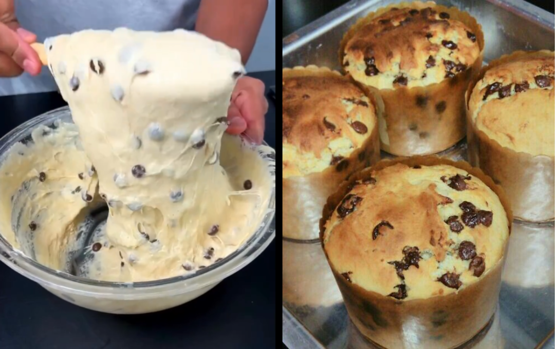Misturei Chocolate na Massa e Descobri um Panetone Simples de Chocolate que Fica Macio e Irresistível 1 Misturei Chocolate na Massa e Descobri um Panetone Simples de Chocolate que Fica Macio e Irresistível