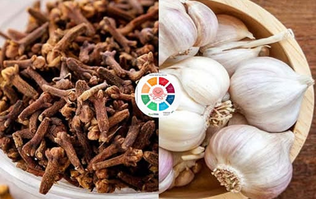 Mastigar Cravo-da-Índia Todos Os Dias Pode Transformar Sua Saúde De Forma Natural