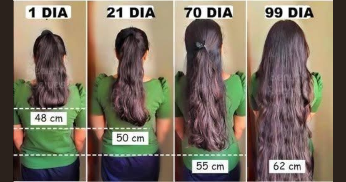 Dica Caseira Com Folha De Goiaba Para Ajudar O Cabelo A Crescer Mais Forte E Saudável